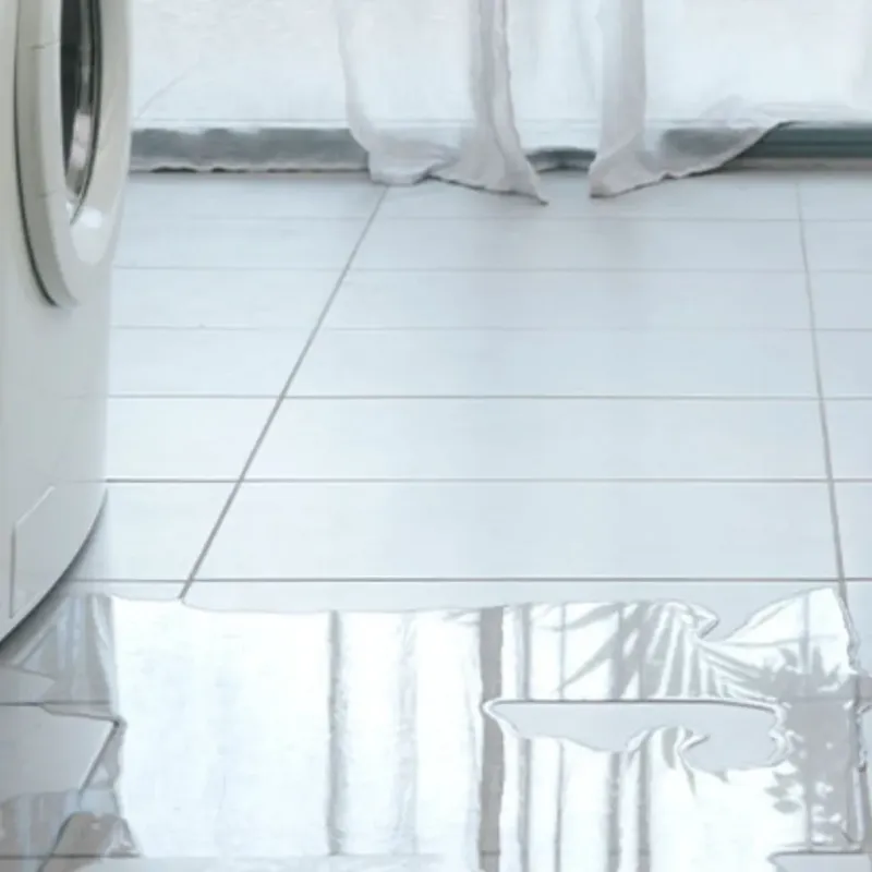 Appliance Leak Cleanup in DeBary, FL
