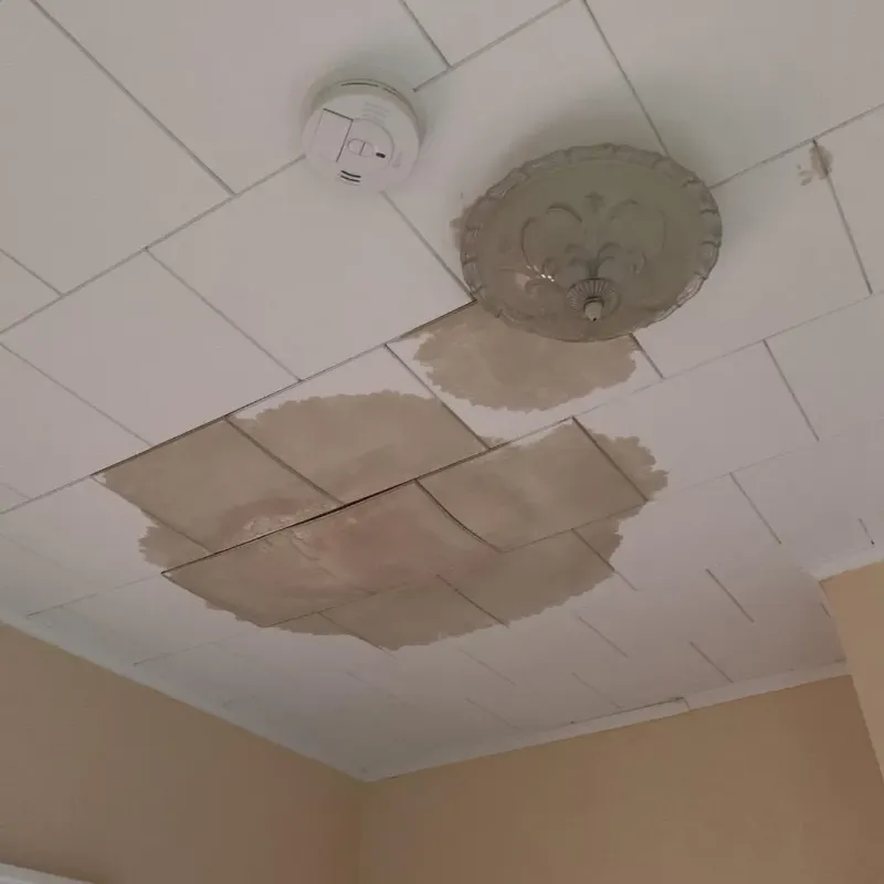 Ceiling Water Damage Repair in DeBary, FL